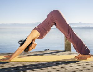 chien tête en bas pilates au cabinet de shiatsu